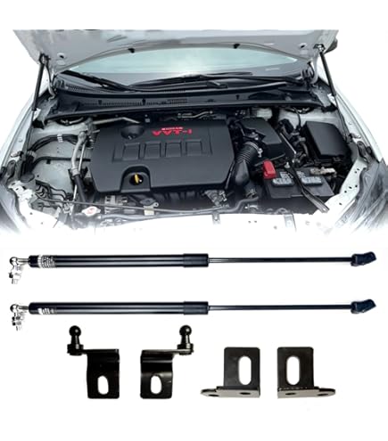 Amazon.com: Toyota Genuine Parts - Support Assy, Hood